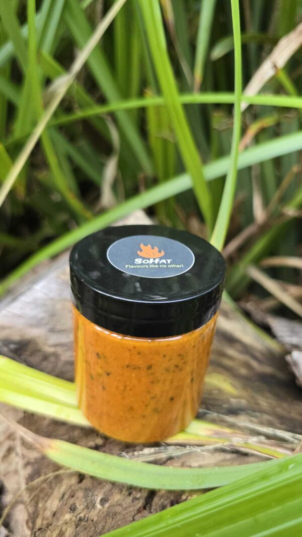 Sohat Springsource Carrot Chilli - SOHAT